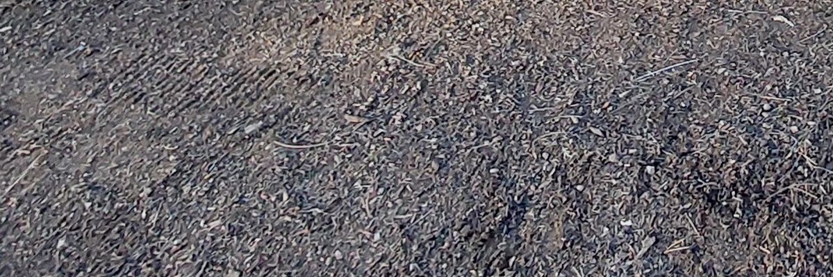 JesseUllrich's profile banner image