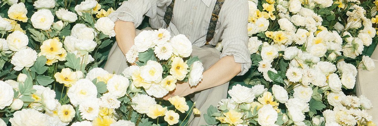 ₐₘₑᵣᵢcₐₙₒ banner