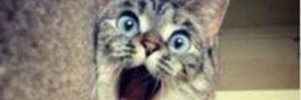 A1Mpro Profile Banner