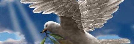 GladouM's profile banner image