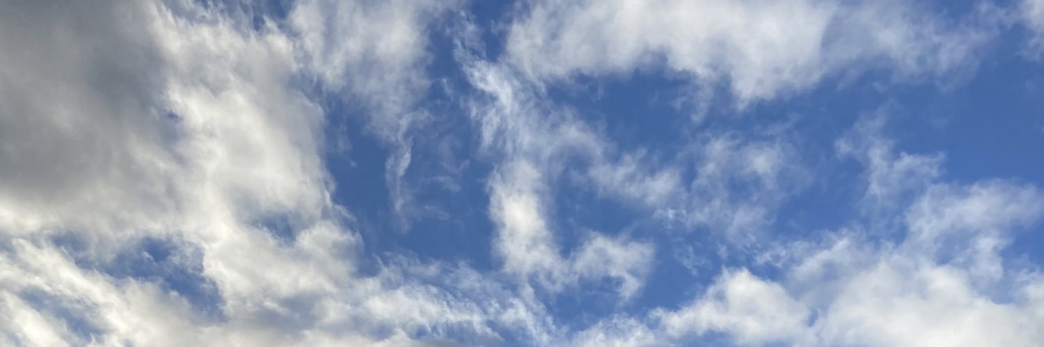 Femke De Backere banner