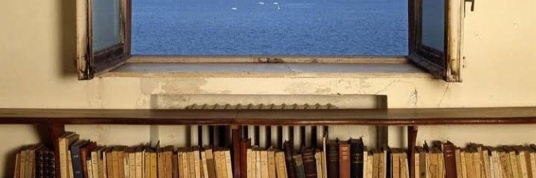 MehdiyevDeyanet's profile banner image