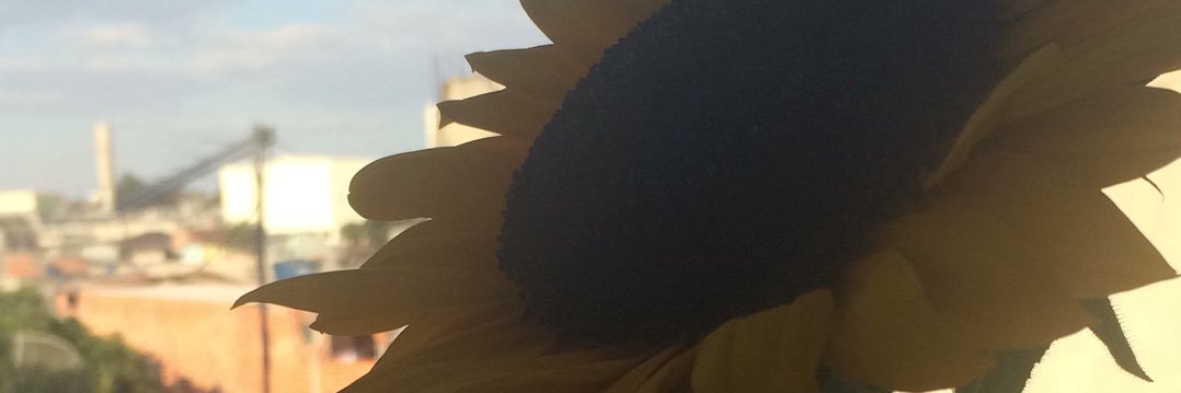 jacquelinecomc's profile banner image