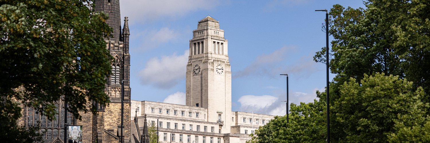 Digital Education Systems at Leeds banner