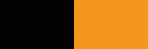 𝐍𝐓𝐑 𝐃𝐢𝐫𝐞𝐜𝐭𝐨𝐫 banner