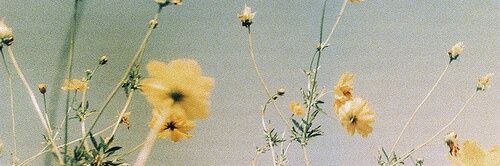 Mariatatis_'s profile banner image
