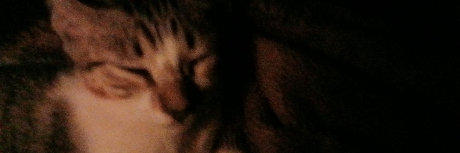 puredemoniac's profile banner image