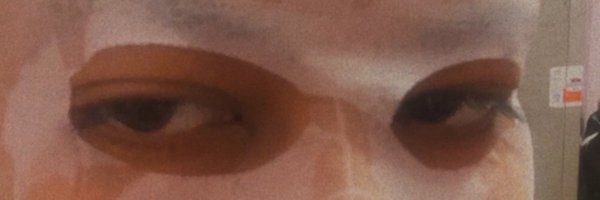 NiceAsh13 Profile Banner