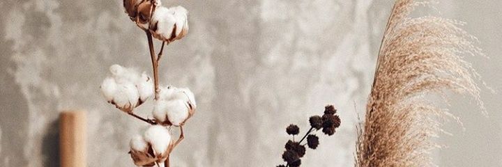 ndongsky01's profile banner image