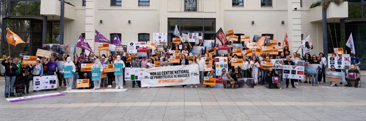 One Voice banner