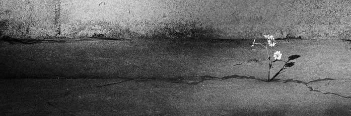 AG banner