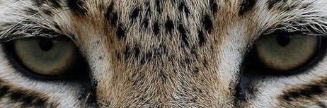 rcossta_'s profile banner image