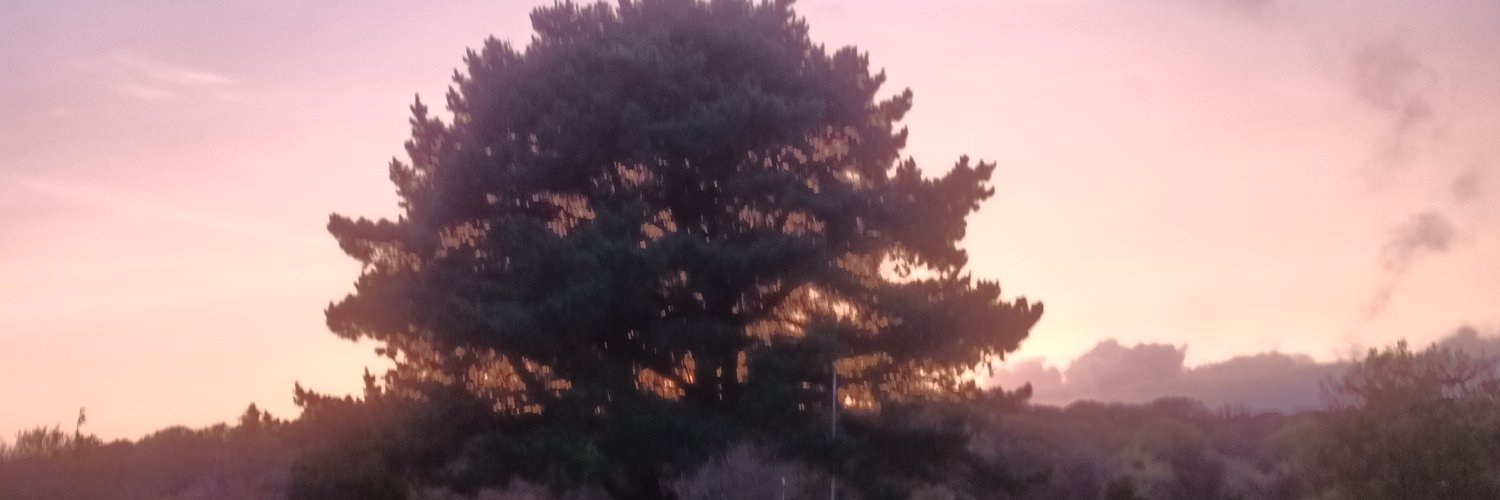 Tom_Malone_'s profile banner image
