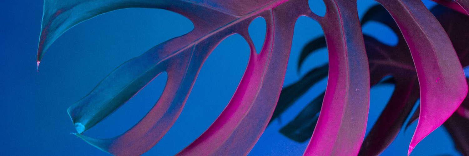 David González banner