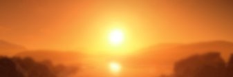 alacritty's profile banner image