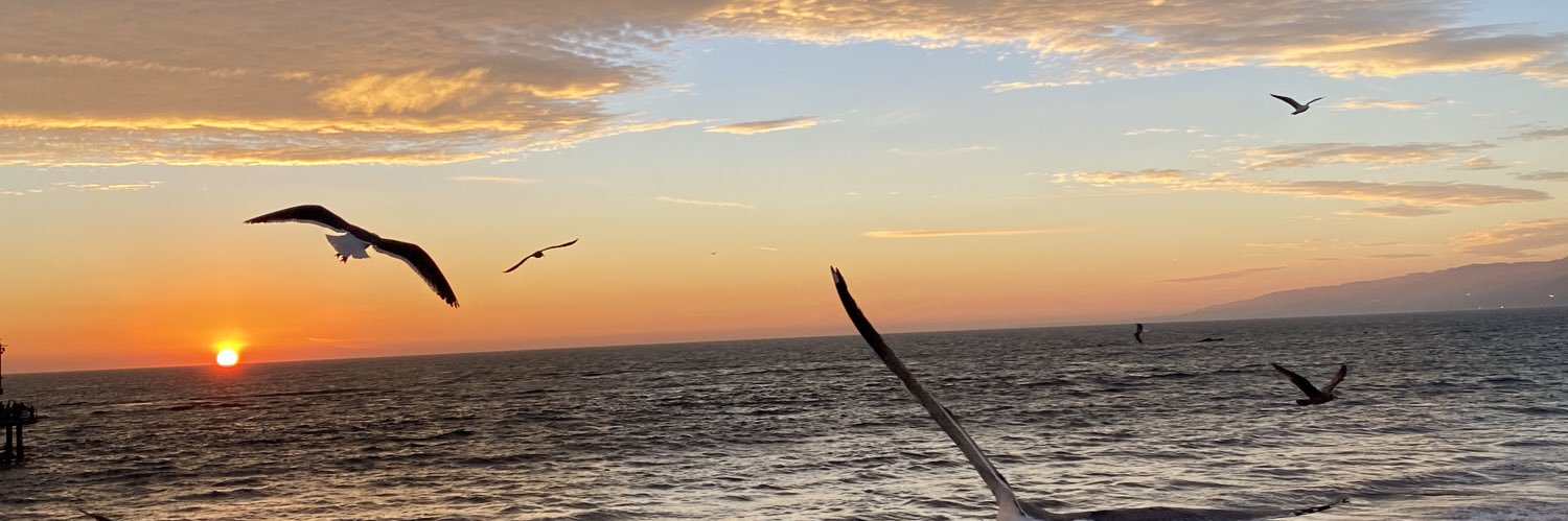 SammyLCantu's profile banner image