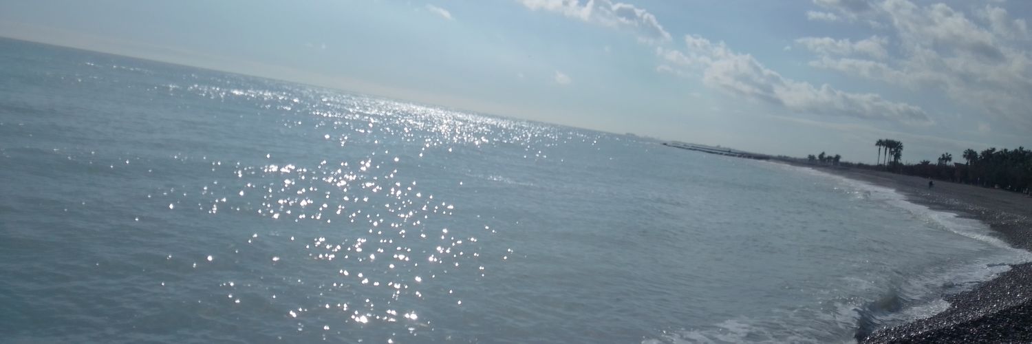 lee_breynner's profile banner image