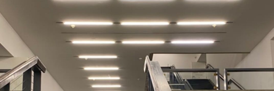 Aranza ; 🐈‍⬛ ⁷ banner