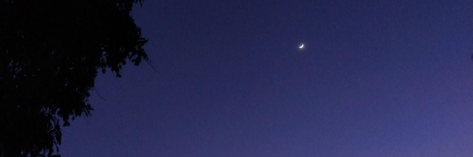 jarumasarap's profile banner image