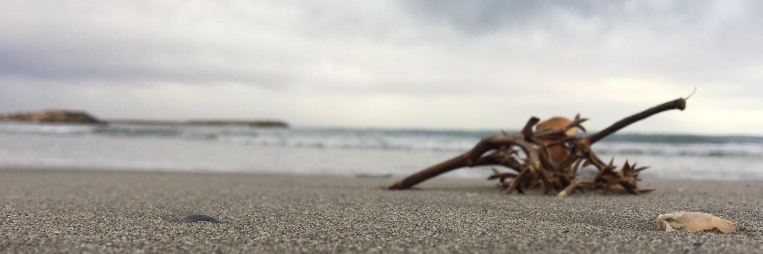 agorioux's profile banner image