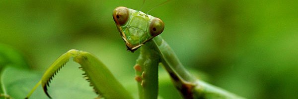 Make it make sense banner