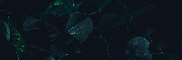 _simosha Profile Banner