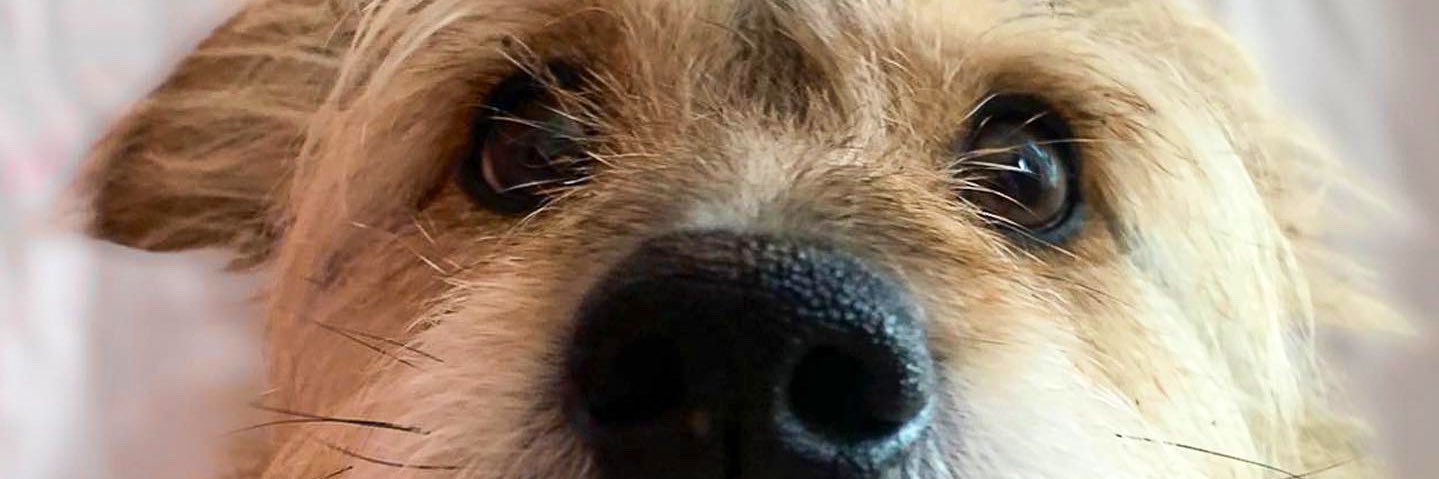 laromanofff's profile banner image