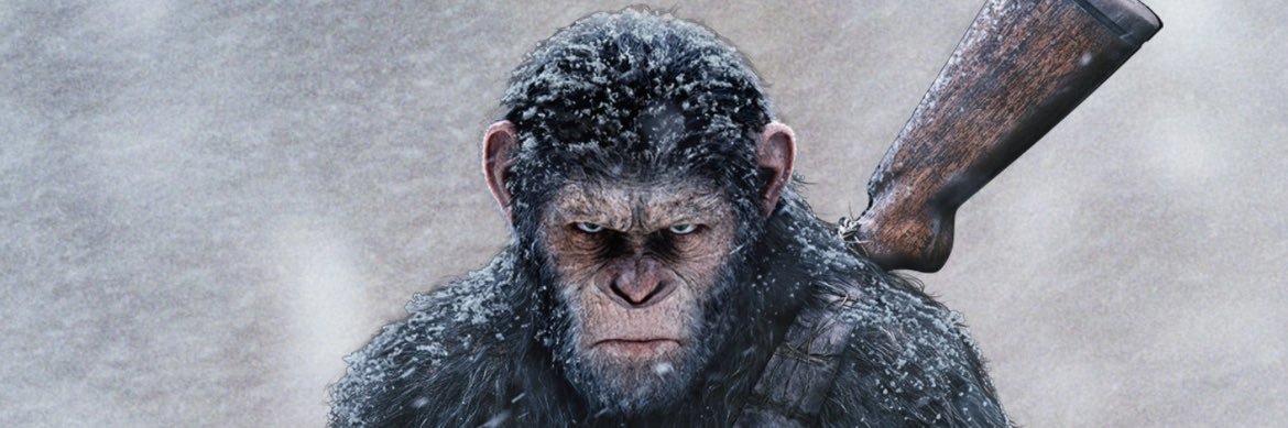 Trae williams III banner