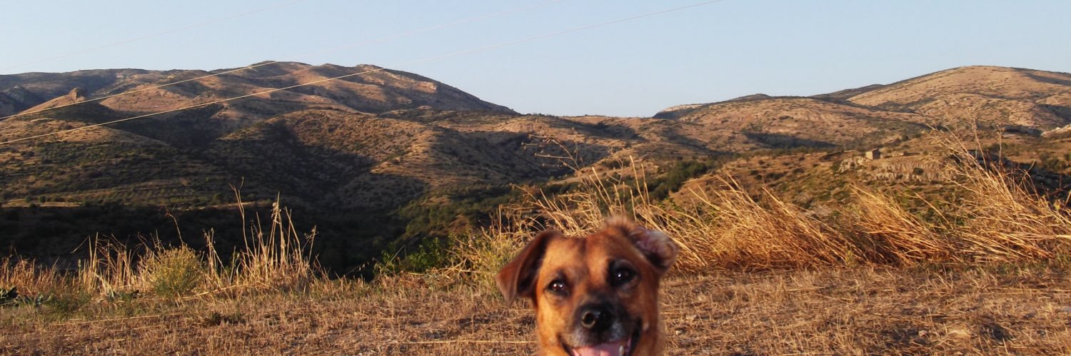 zaraplaa's profile banner image