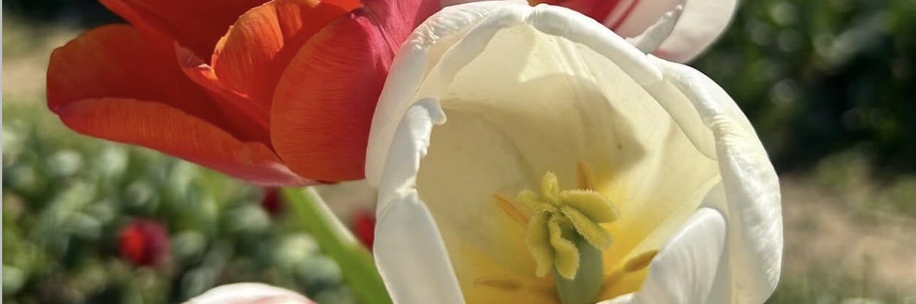 whitneyM181's profile banner image