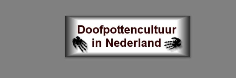 boomklevertje's profile banner image