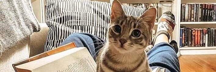 KattRodriguez3's profile banner image