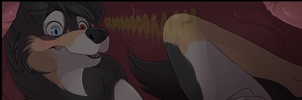 colliedoggo Profile Banner