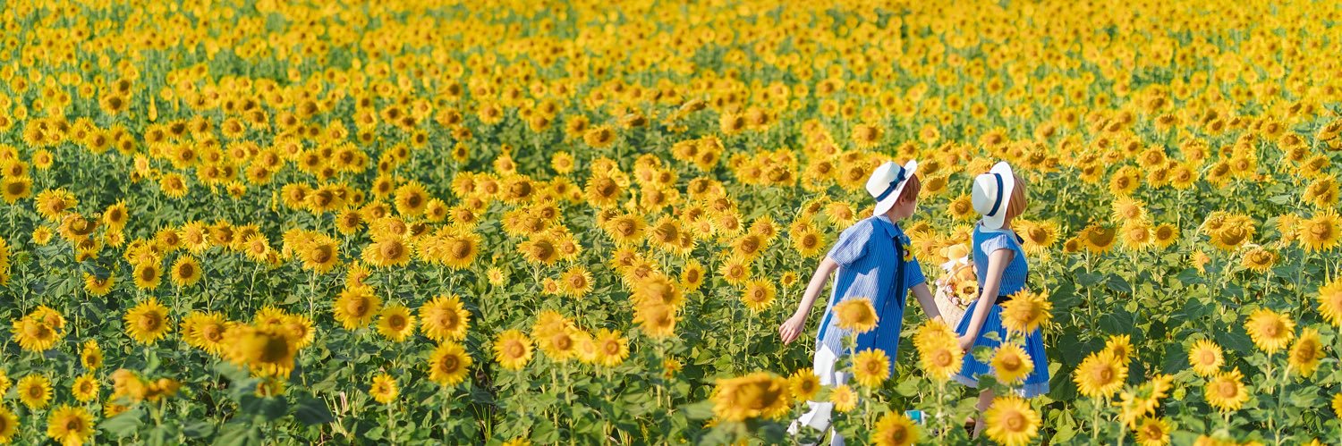 nezuminene's profile banner image