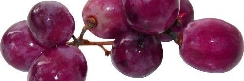 Allergy's banner