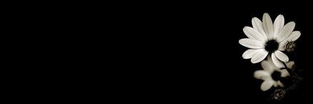 enoughchanifah's profile banner image