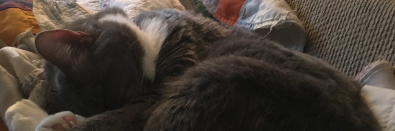 lillex4747's profile banner image