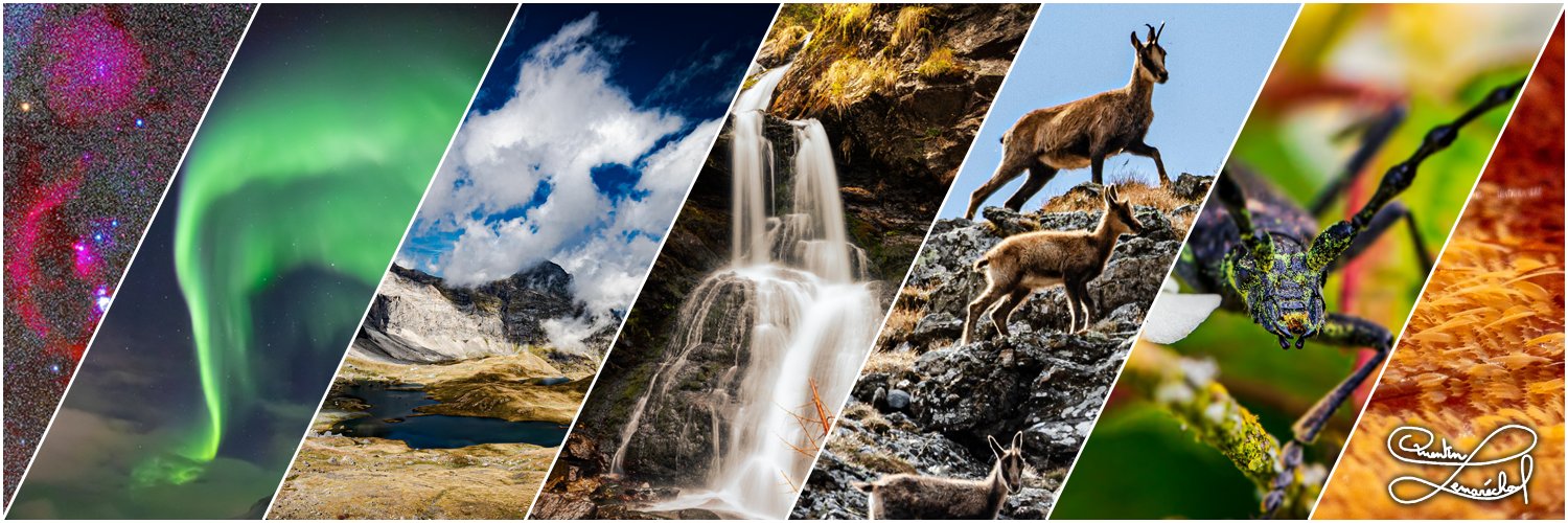 𝑸𝒖𝒆𝒏𝒕𝒊𝒏 𝑳𝒆𝒎𝒂𝒓𝒆́𝒄𝒉𝒂𝒍 📷✨🔭 banner