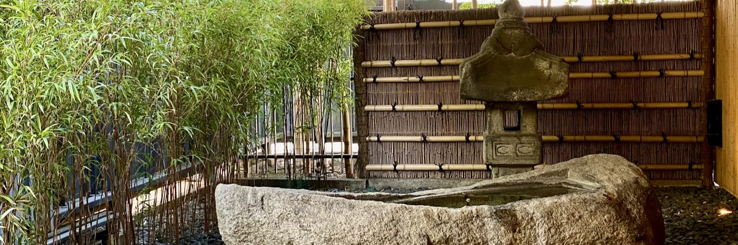 sainese's profile banner image