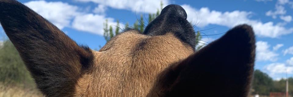 Anakarinalc's profile banner image