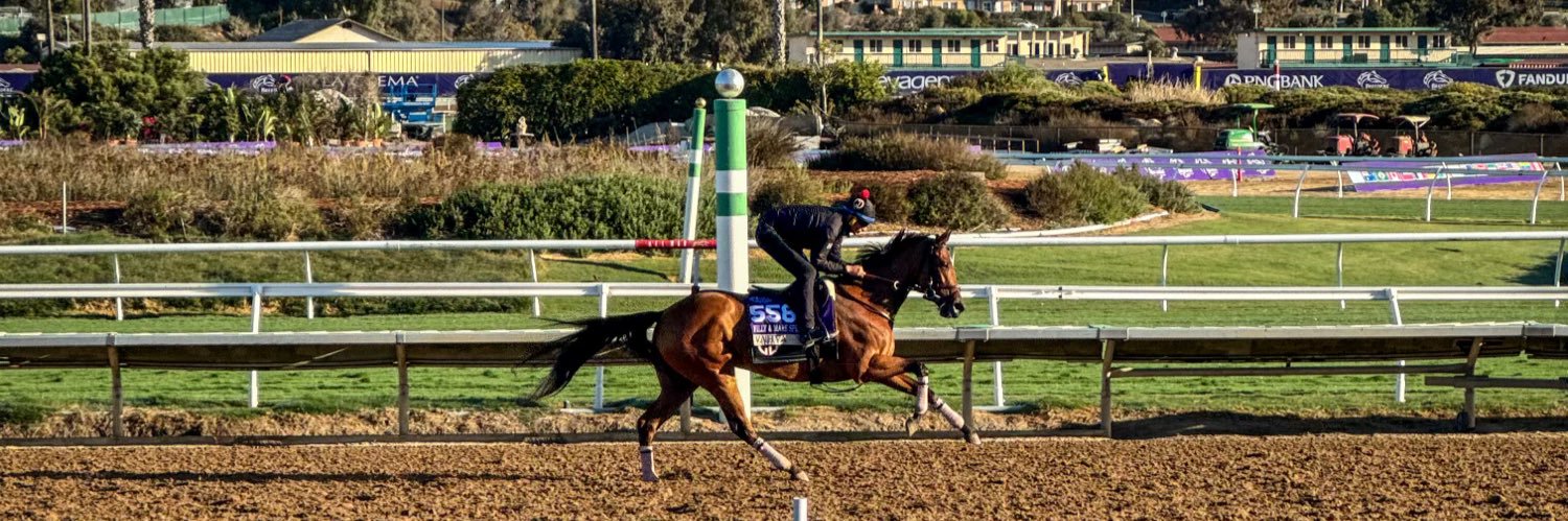 Belladonna Racing Partnership's banner