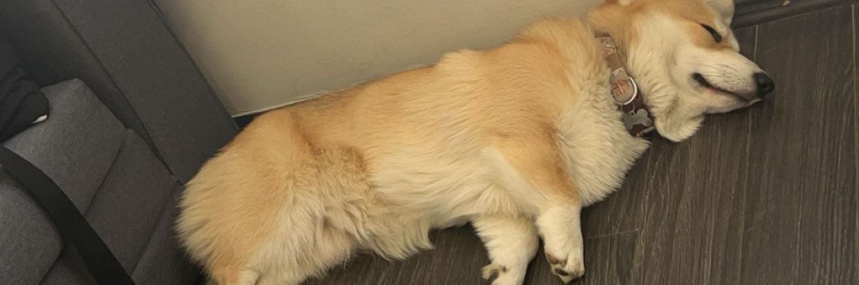 tw1nkeycs's profile banner image