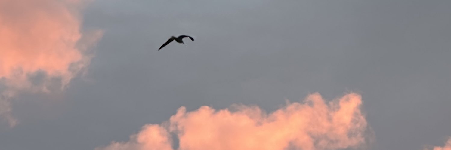 AbrarAD_'s profile banner image