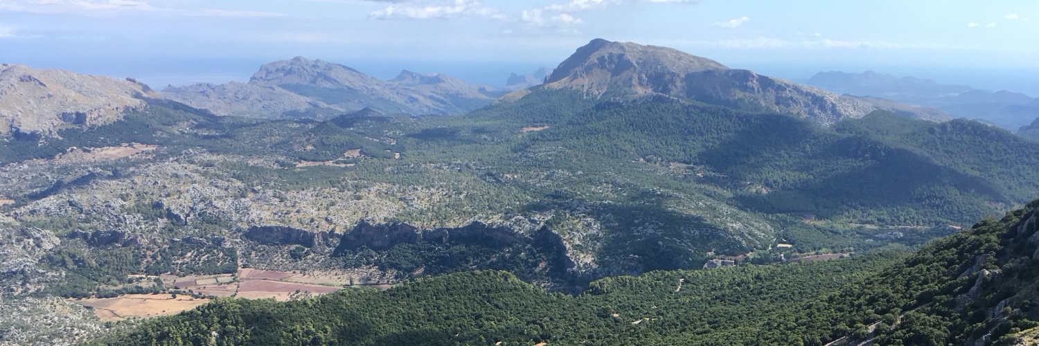 Juan Palacios banner