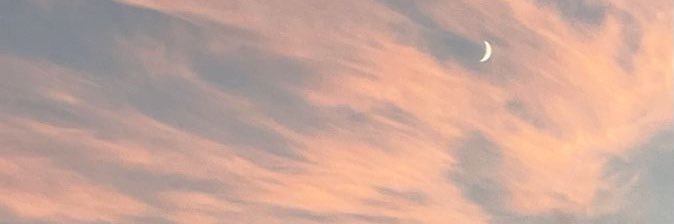 みる banner