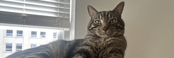 GuildAll Profile Banner