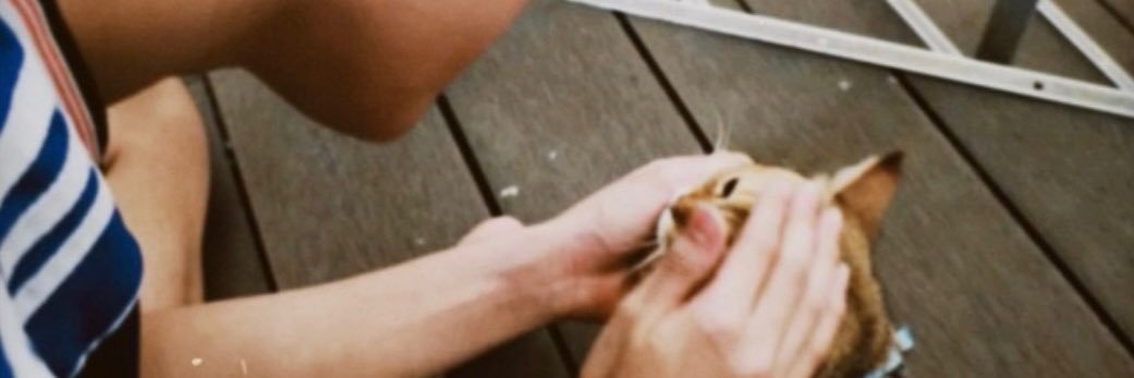 🐶 banner