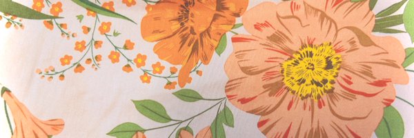 DwanPrice Profile Banner