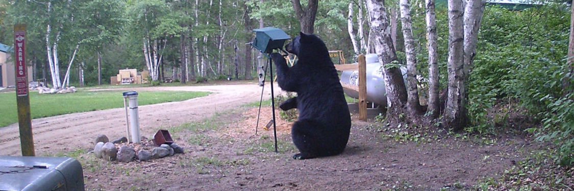 Mark 🐶🦆🦌🦮👮‍♂️🌽🚜 banner