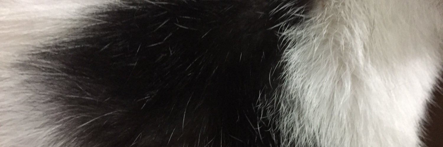 あっふぁーω@金曜日はにゃんたま倶楽部✨ω✨ banner